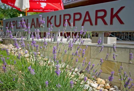 Kaplan Am Kurpark Hotell Bad Tatzmannsdorf Exteriör bild
